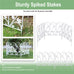 Larissa 5 Panel Wrought Iron Decorative Garden Fence