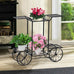 Jolie 6 Tier Parisian Style Garden Cart