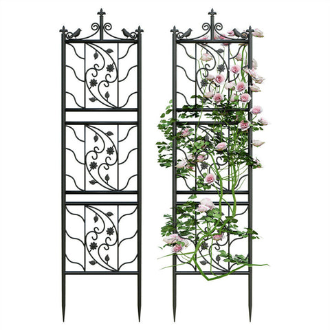 Ilana 2pcs Tall Metal Garden Trellis