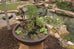 Desiree Water Garden Patio Pond 81cm