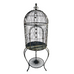 Biarritz Bird Cage Verdi