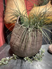 Marrakech Stone Planter