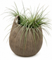 Marrakech Stone Planter