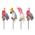 4 x Cockatoos on 12cm Sticks for Garden Decor