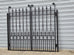Rochelle Black Wrought Iron Gate 191cm H x 117.5cm W