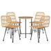 Fina Garden 4 Person Rattan Dining Set