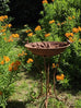 Alouette French Style Large Birdfeed/Birdbath