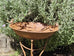 Alouette French Style Large Birdfeed/Birdbath