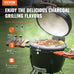 Lyra Stainless Steel Portable Charcoal Grill. Propane Gas. Cover and Cart.