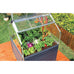 Sylvana Mini Greenhouse 1.2mx1.2m